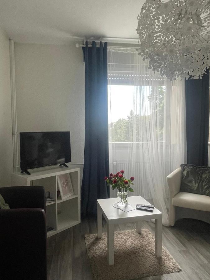 Studio 5 Near Basel Airport Сен-Луи Экстерьер фото