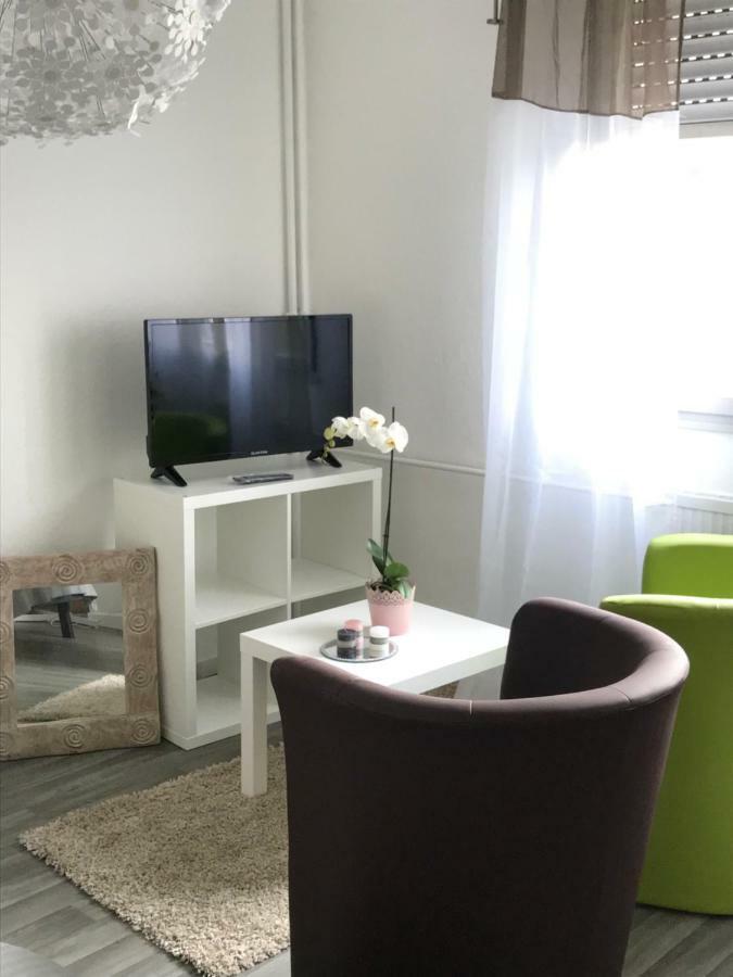 Studio 5 Near Basel Airport Сен-Луи Экстерьер фото