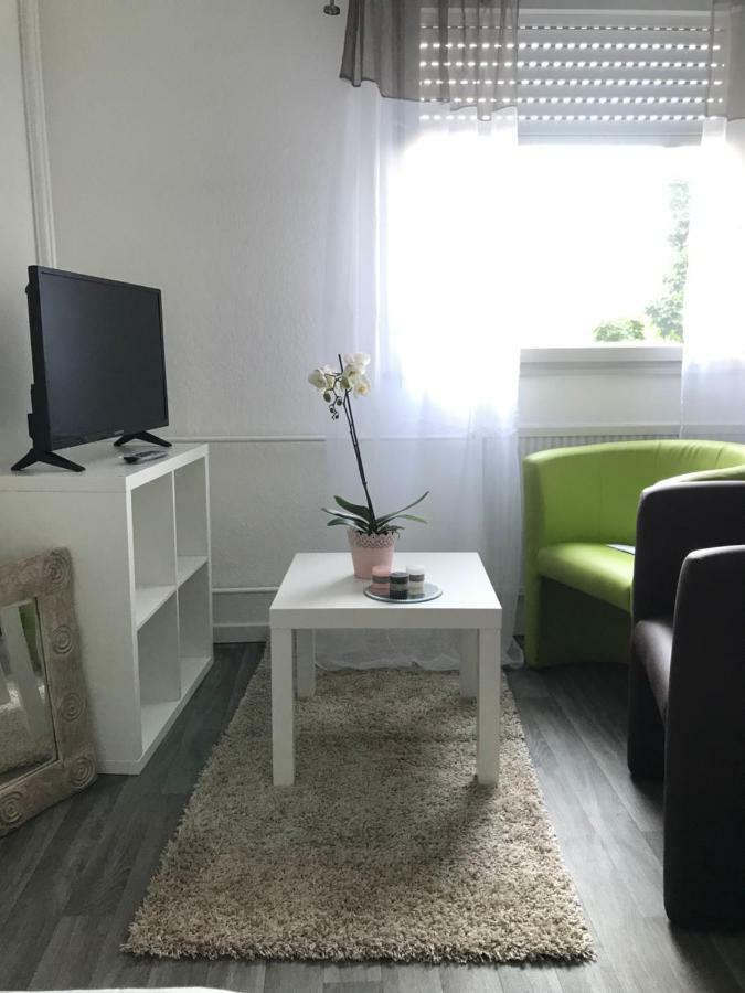 Апартаменты Studio 5 Near Basel Airport Сен-Луи Экстерьер фото